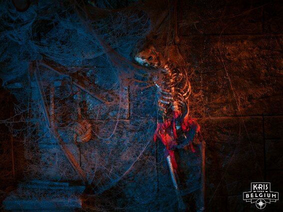 KVDS-20230713-211504-X2D 100C