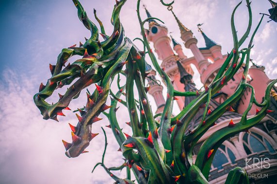 Malificent's Courtyard Halloween 2016 at Disneyland Paris