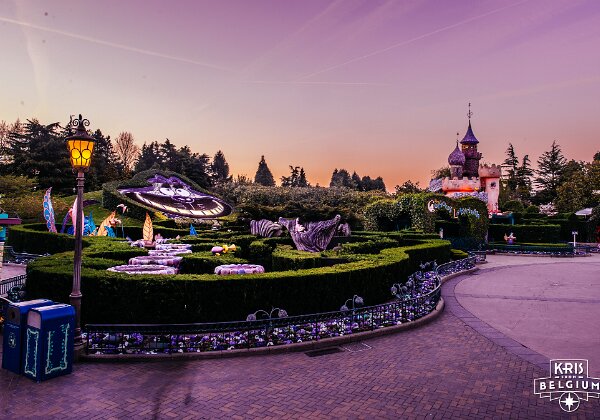 Alice's Curious Labyrinth