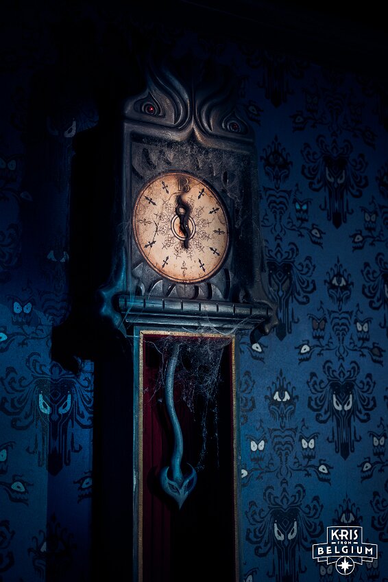 KVDS-20251213-145346-Nikon-3 null