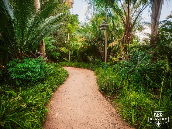 KVDS-20230122-132503-X2D 100C null