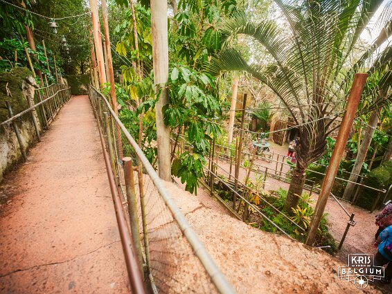 KVDS-20230122-132557-X2D 100C null