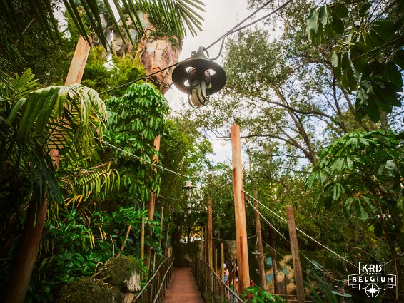 KVDS-20230122-132629-X2D 100C null