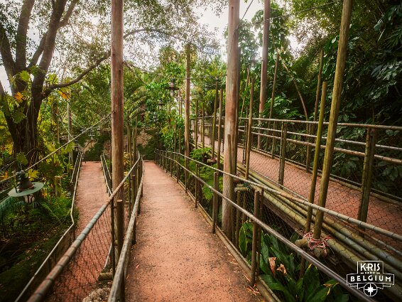 KVDS-20230122-132700-X2D 100C null