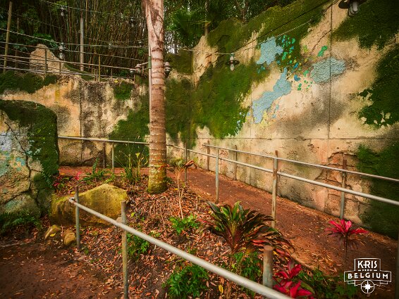 KVDS-20230122-132747-X2D 100C null