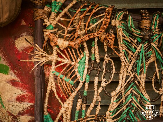 KVDS-20230122-133355-X2D 100C null