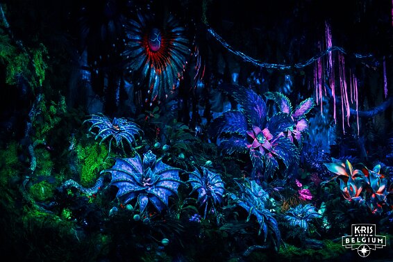 KVDS-20230122-102213-NIKON Z 9 null