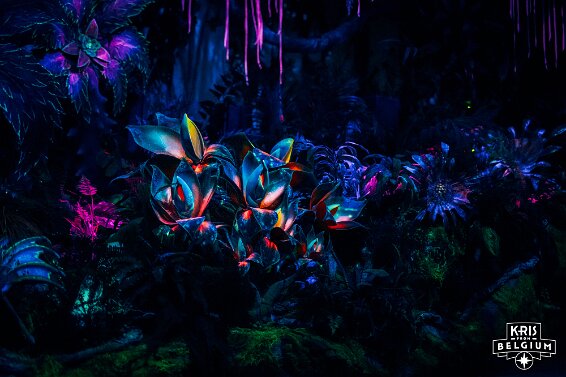 KVDS-20230122-102225-NIKON Z 9-2 null