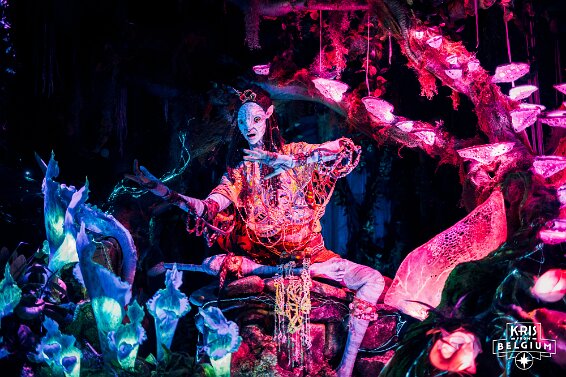 KVDS-20230122-102249-NIKON Z 9 null