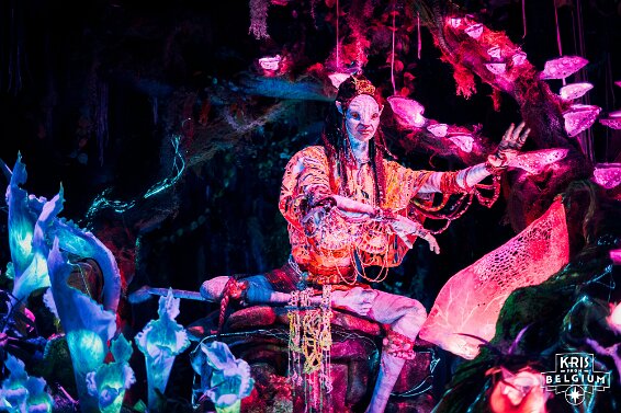 KVDS-20230122-102251-NIKON Z 9 null