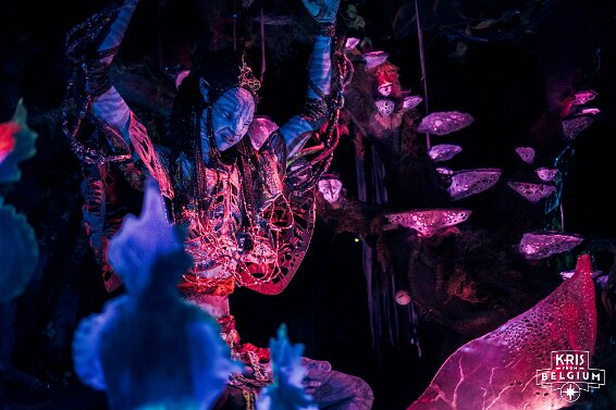 KVDS-20230122-102300-NIKON Z 9 null