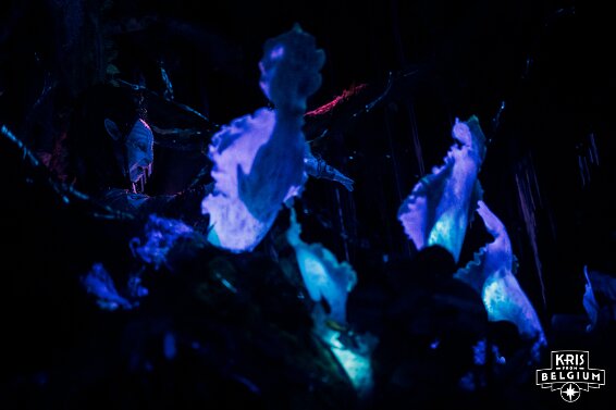 KVDS-20230122-102314-NIKON Z 9 null