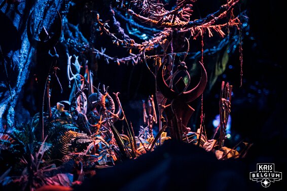 KVDS-20230122-102405-NIKON Z 9-2 null