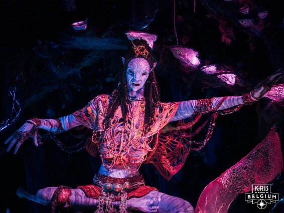 KVDS-20231017-154330-X2D 100C null