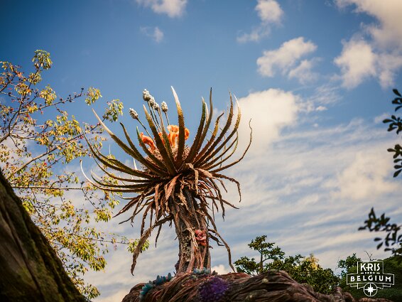 KVDS-20230129-141704-X2D 100C null