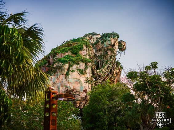 KVDS-20230129-145822-X2D 100C null