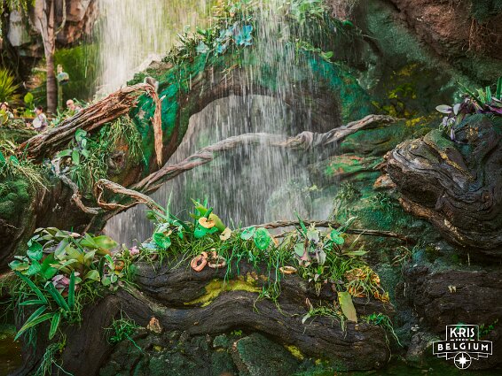 KVDS-20230129-150014-X2D 100C null