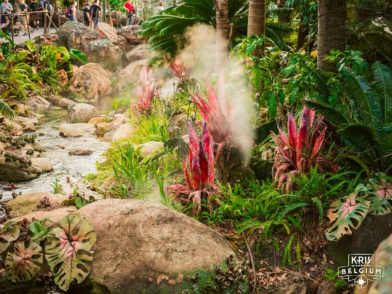 KVDS-20230129-171011-X2D 100C null