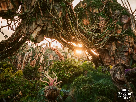 KVDS-20230129-171141-X2D 100C null