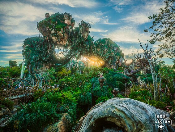 KVDS-20230129-171419-X2D 100C-HDR null