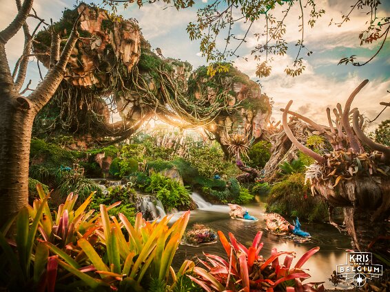 KVDS-20230129-171944-X2D 100C-HDR null