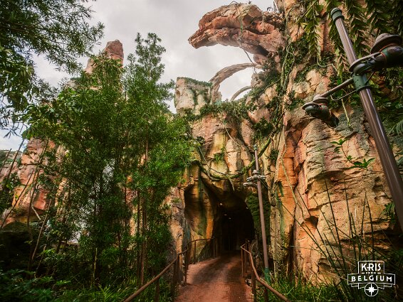 KVDS-20230122-132443-X2D 100C null