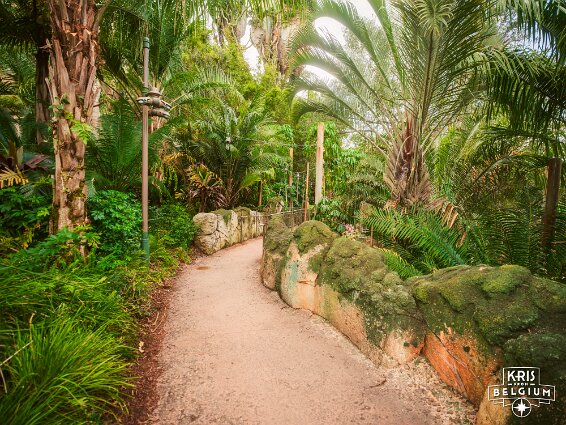 KVDS-20230122-132525-X2D 100C null