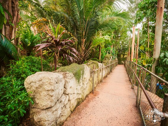 KVDS-20230122-132535-X2D 100C null