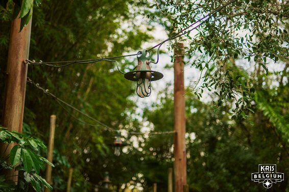 KVDS-20230122-132736-NIKON Z 9 null