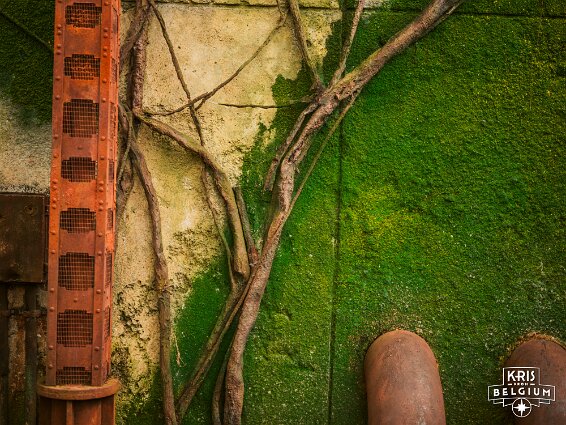 KVDS-20230122-133409-X2D 100C null