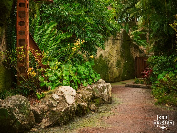 KVDS-20230122-133417-X2D 100C null