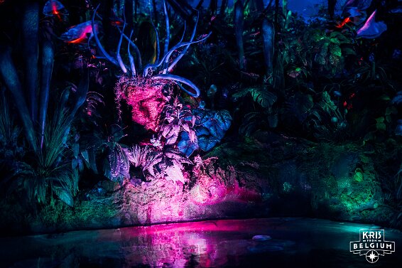 KVDS-20230122-102159-NIKON Z 9 null