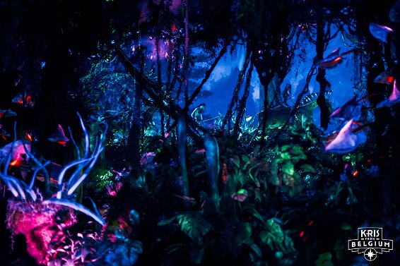 KVDS-20230122-102206-NIKON Z 9 null