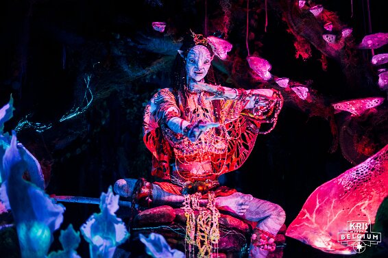 KVDS-20230122-102254-NIKON Z 9-6 null