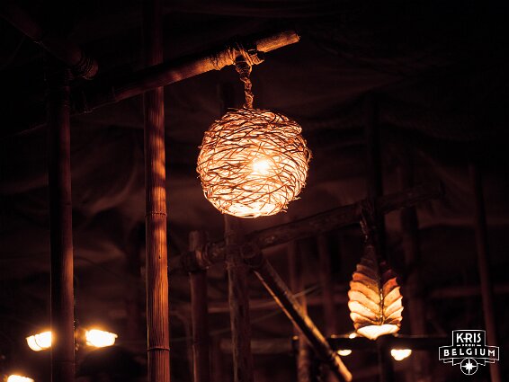 KVDS-20231017-154528-X2D 100C null