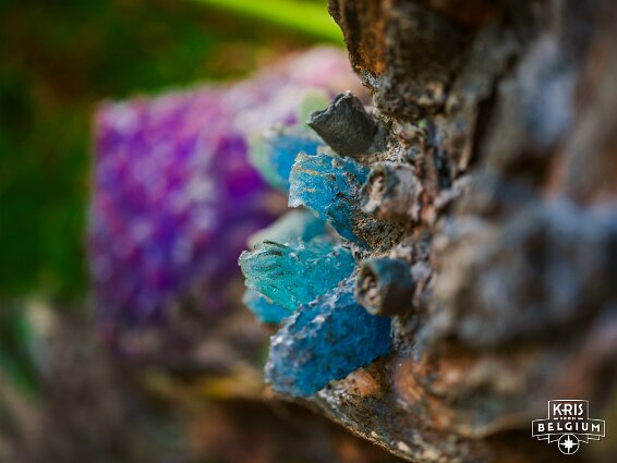 KVDS-20230129-141641-X2D 100C null