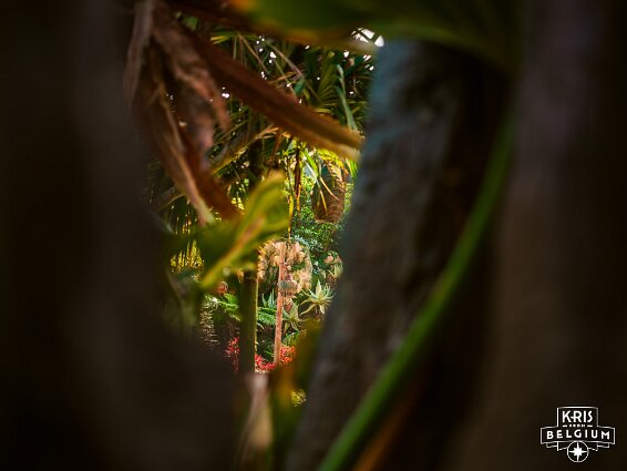 KVDS-20230129-141655-X2D 100C null