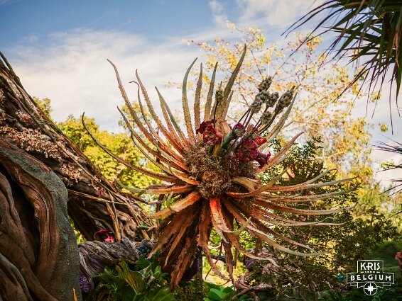 KVDS-20230129-141816-X2D 100C null