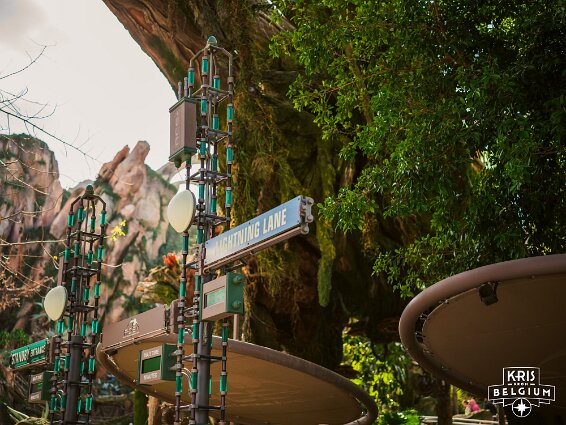 KVDS-20230129-141844-X2D 100C null