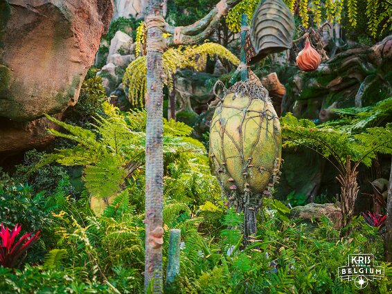 KVDS-20230129-145958-X2D 100C null