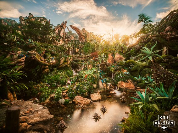 KVDS-20230129-172211-X2D 100C-HDR null