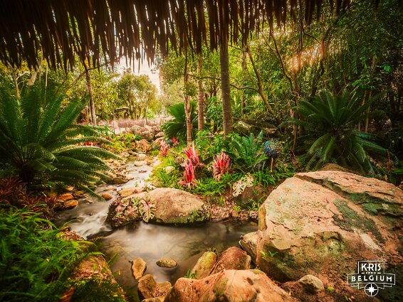 KVDS-20230129-173854-X2D 100C-HDR null