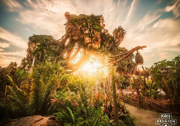 Pandora - The World Of Avatar