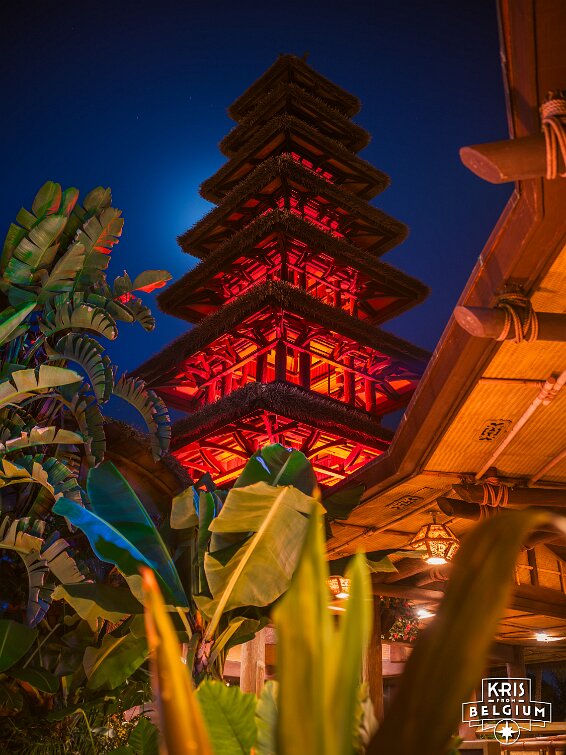 KVDS-20231028-224159-X2D 100C