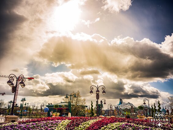 KVDS-20260314-141716-Hasselblad null