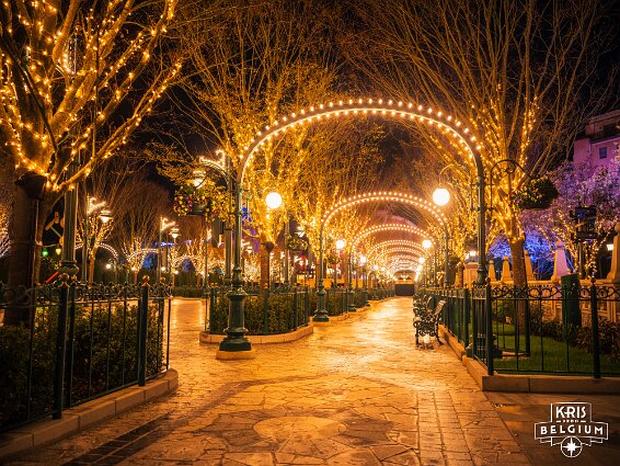 KVDS-20260314-201725-Hasselblad null