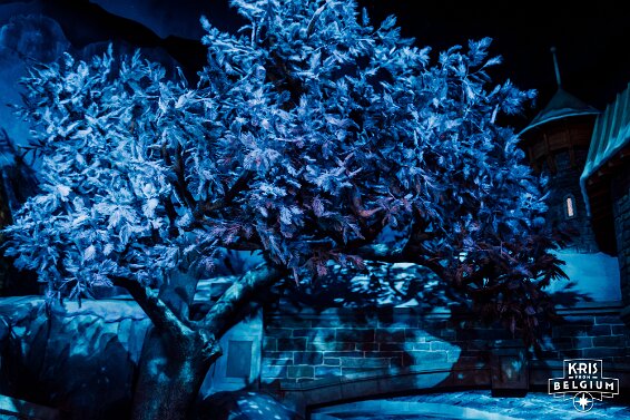 KVDS-20260314-144615-Nikon-2 null