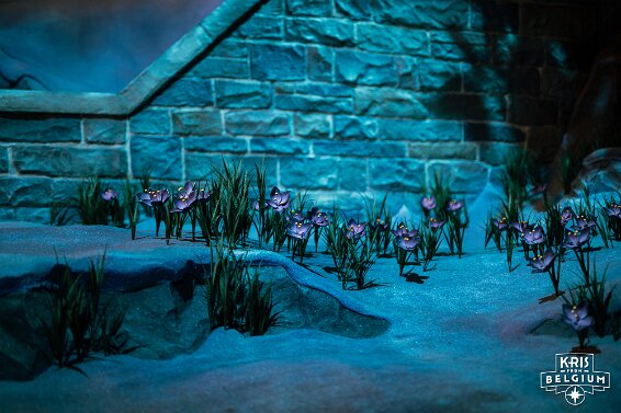 KVDS-20260314-144639-Nikon-2 null