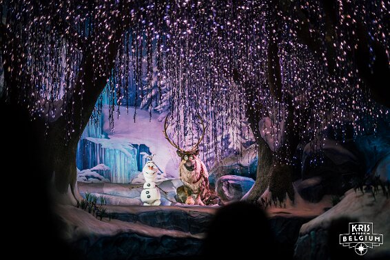 KVDS-20260314-144716-Nikon null