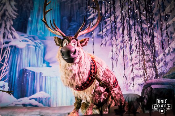 KVDS-20260314-144734-Nikon-2 null